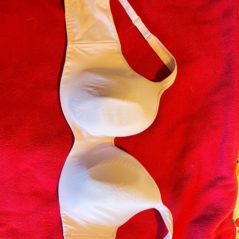 Lane Bryant Bra